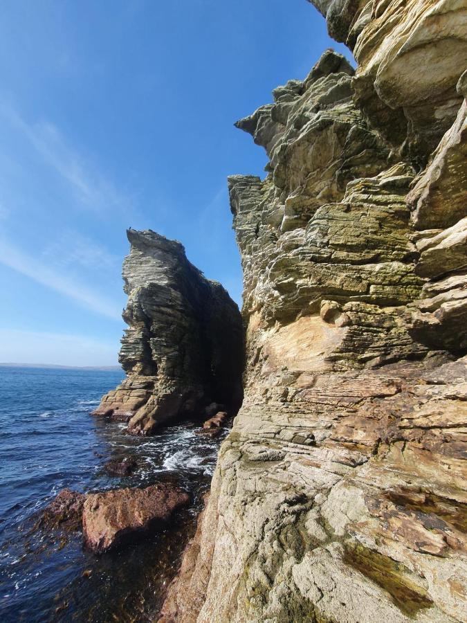 Tiny In Isle Of Skye - Pet Friendly Hébergement de vacances