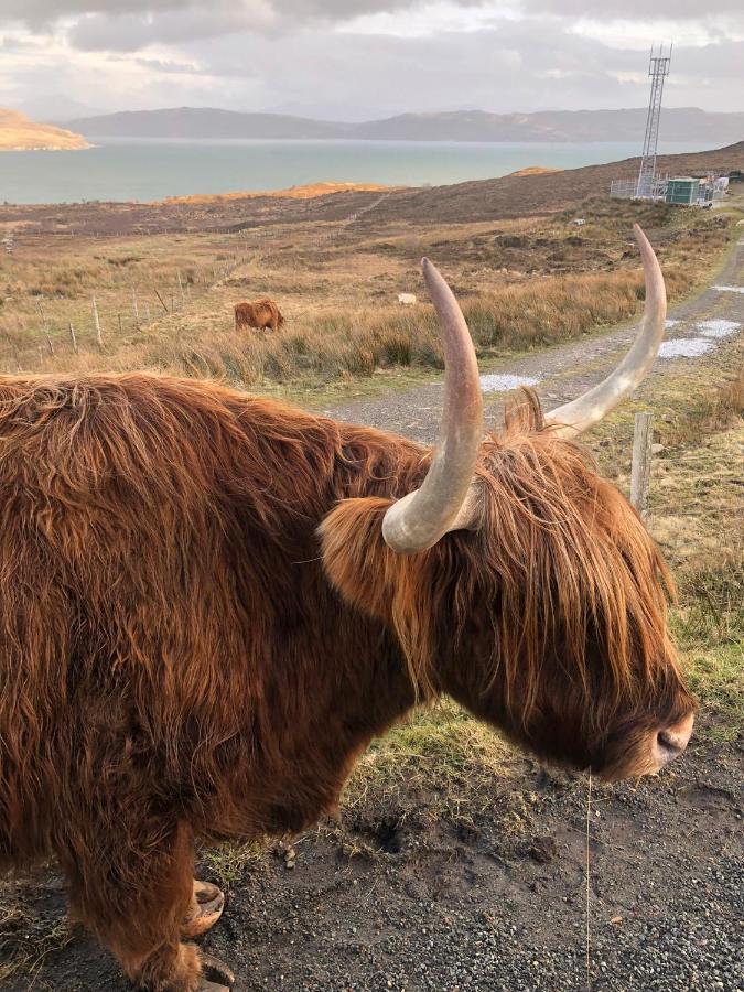 Tiny In Isle Of Skye - Pet Friendly *